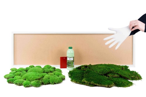 Diy set moosbild - moosbild, geschenkidee